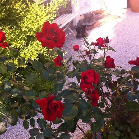 L'Ecrin Bed and Breakfast Villeneuve-sur-Lot Εξωτερικό φωτογραφία