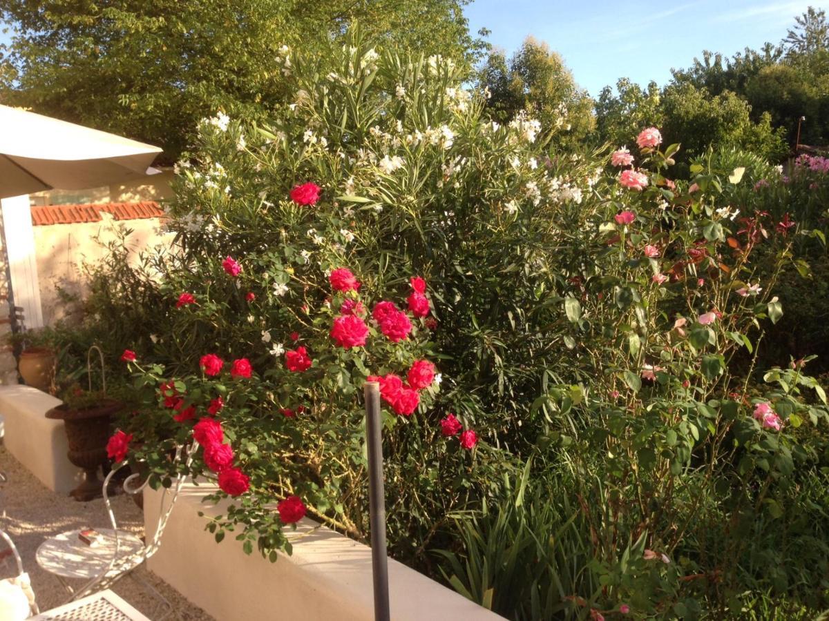 L'Ecrin Bed and Breakfast Villeneuve-sur-Lot Εξωτερικό φωτογραφία