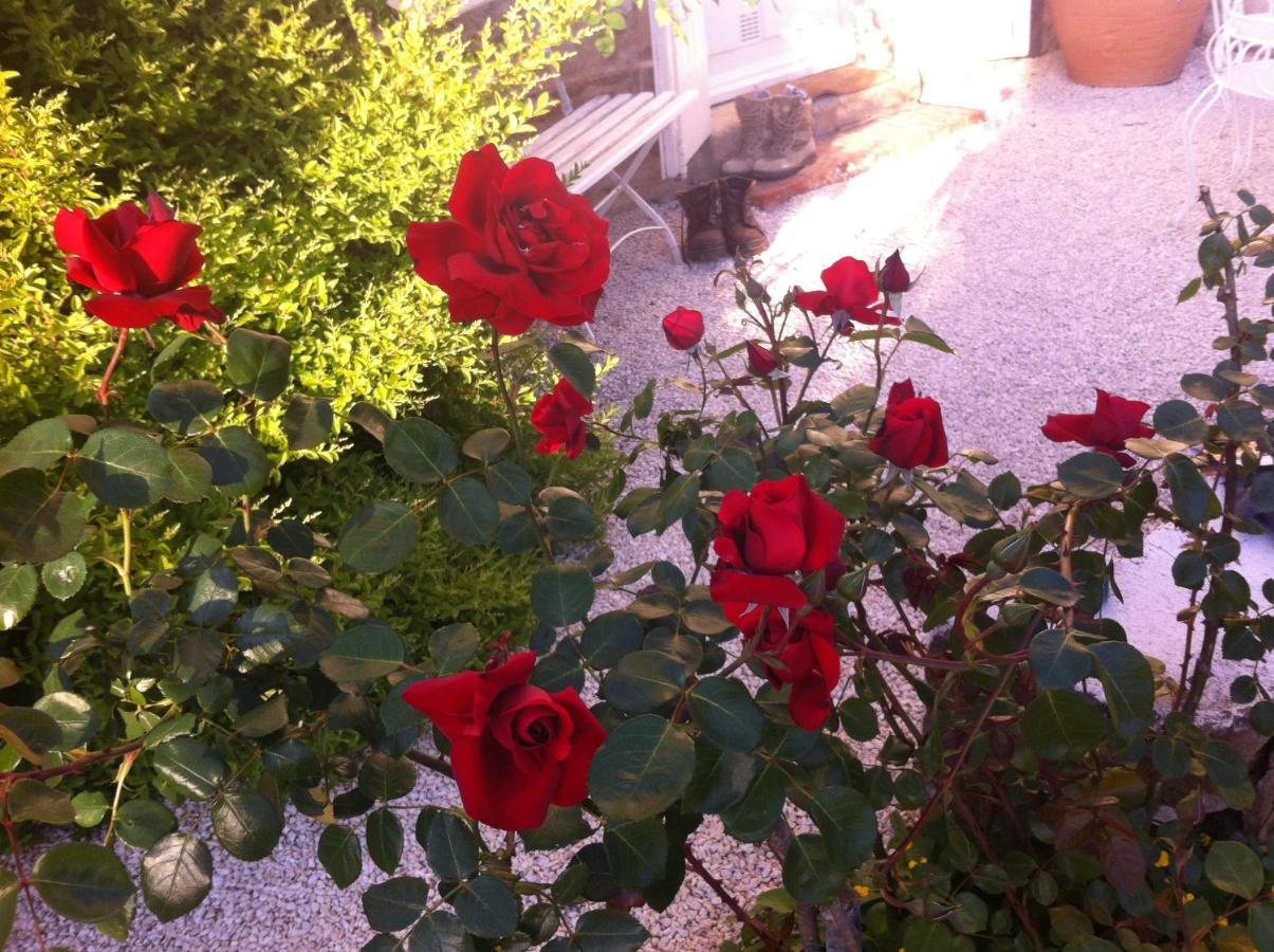 L'Ecrin Bed and Breakfast Villeneuve-sur-Lot Εξωτερικό φωτογραφία